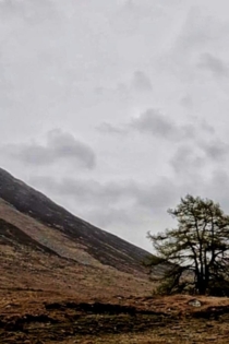 The One Close To The Sea