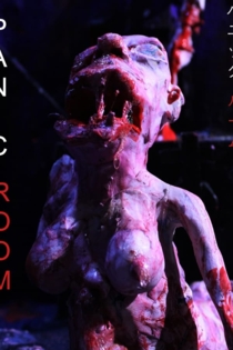Panic Room