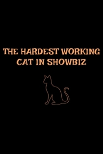The Hardest Working Cat in Showbiz