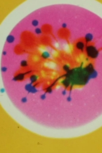Color Rhapsodie