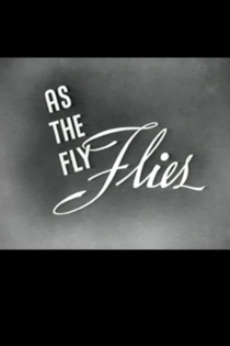 As the Fly Flies