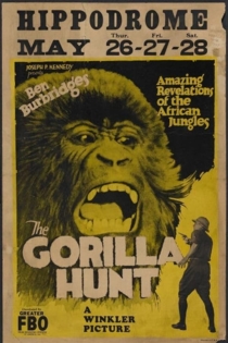 The Gorilla Hunt