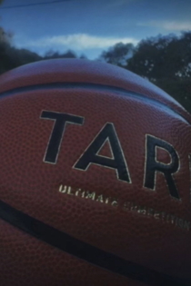 A sensical film about a basketball