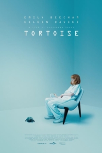 TORTOISE