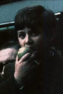 Manzanas