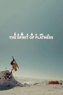 The Spirit of Flatness
