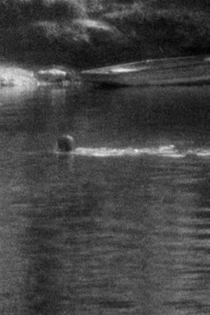 Swimming