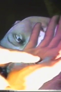 Eleven - Verstehen ist wie Hitze