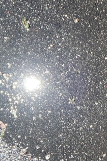 Light Pharmacy, Parts I-III