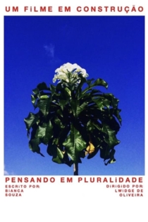 Pensando em Pluralidade