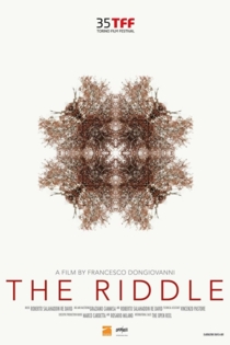 The Riddle