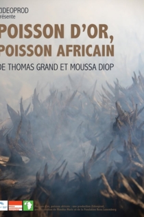 Poisson D'or, Poisson Africain