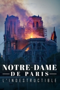 Notre-Dame de Paris L'indestructible