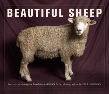 Book Beautiful Sheep