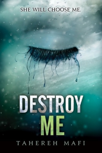 Book Destroy Me