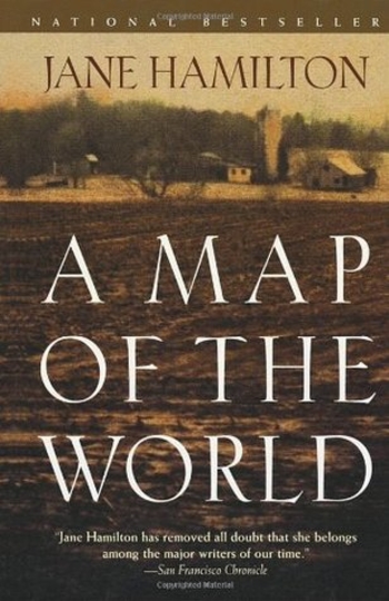 Book A Map of the World