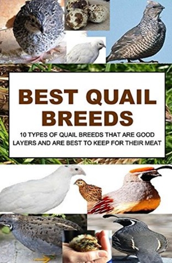 Book Best Quail Breeds