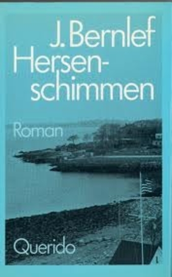 Book Hersenschimmen