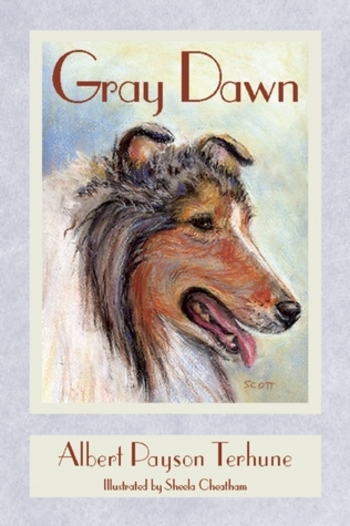 Book Gray Dawn