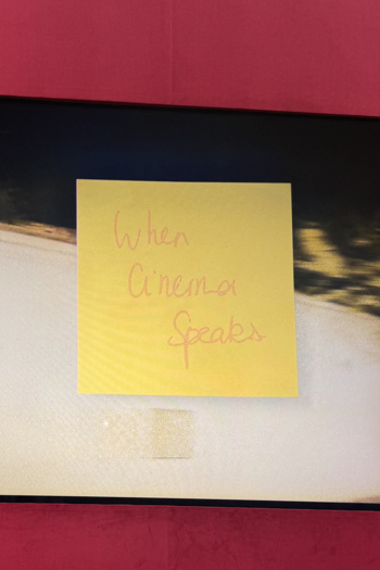 WHEN CINEMA SPEAKS...