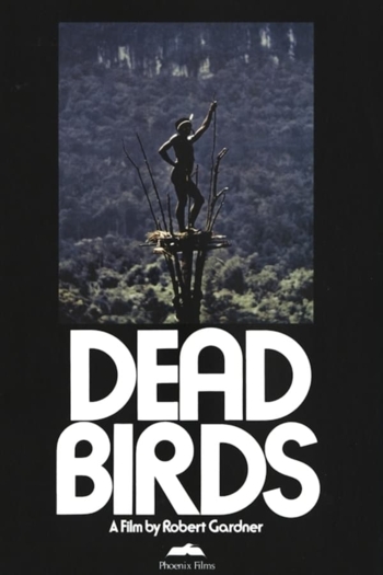 Dead Birds