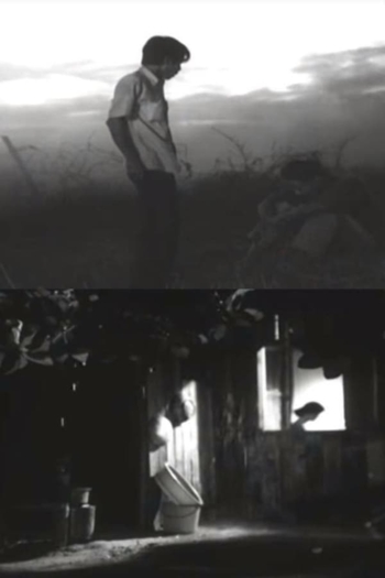 The Last Distance Between Us