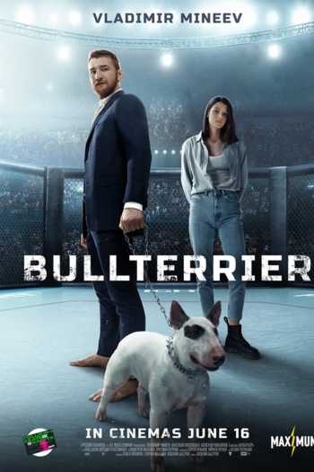 Bullterrier