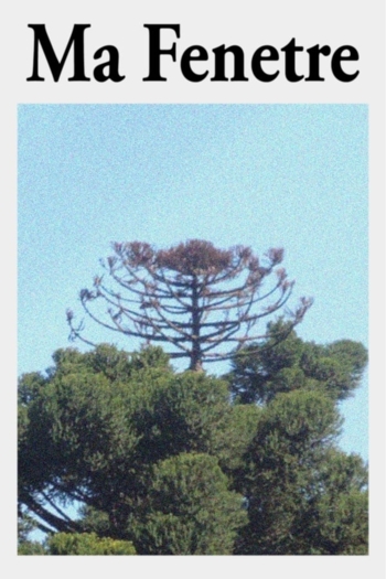 Ma Fenetre