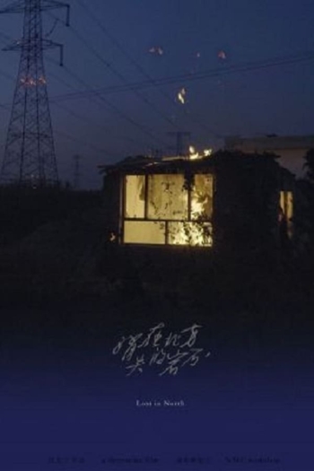 The Stone Lost in North