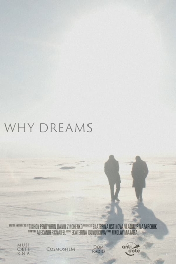 Why Dreams