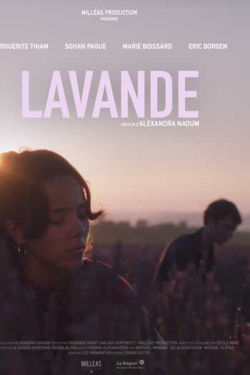 Lavande