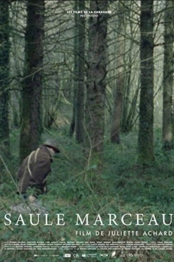 Saule Marceau