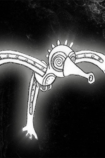 The Moon Bird
