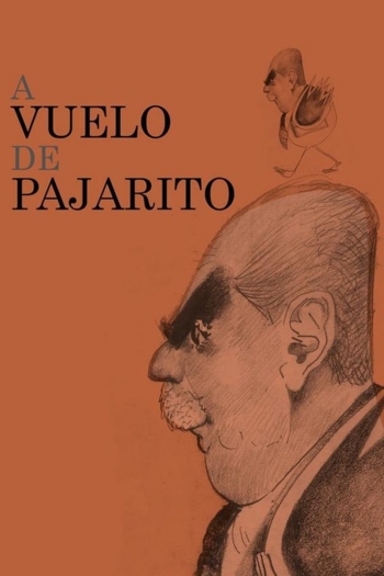 A vuelo de pajarito