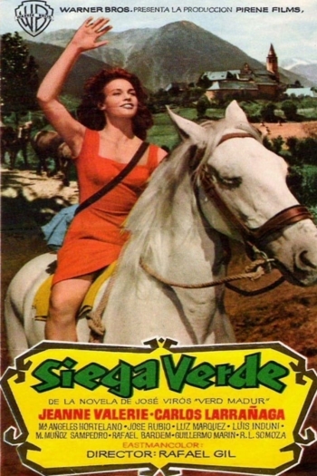 Verd madur