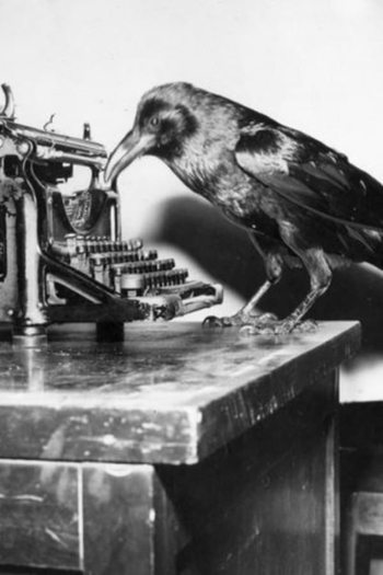 Actor Jimmy the Crow