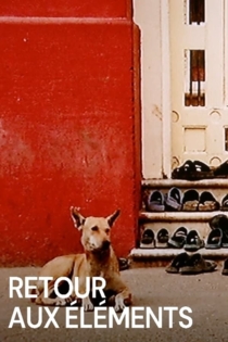 Retour Aux Éléments