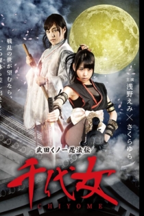 Takeda kunoichi ninpo den chiyome