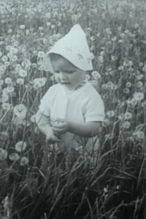 Through the blooming linden