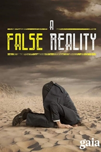 A False Reality