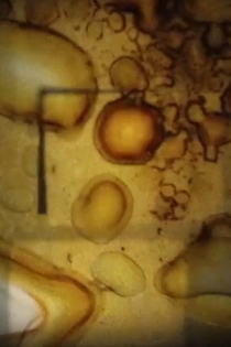 Meditation about the meaning of the life