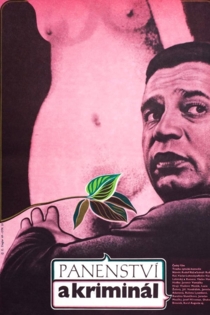 Panenství a kriminál