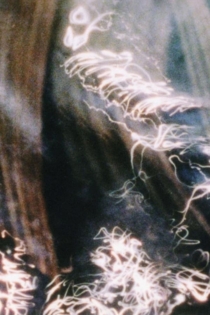 A Darkness Swallowed