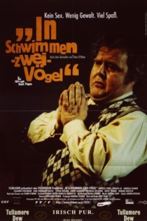 In Schwimmen -zwei-Vögel