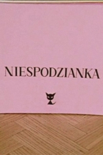 Niespodzianka