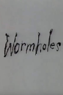 Wormholes