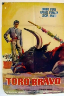 Toro bravo