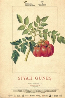 Черное солнце