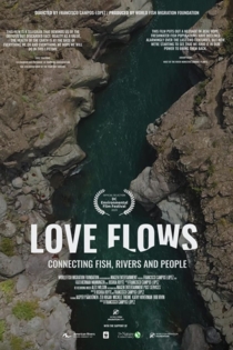 Love Flows