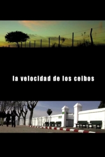 La Velocidad de los Ceibos